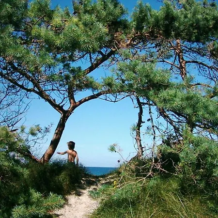 別荘 Three-master House No 1 ブレーゲ